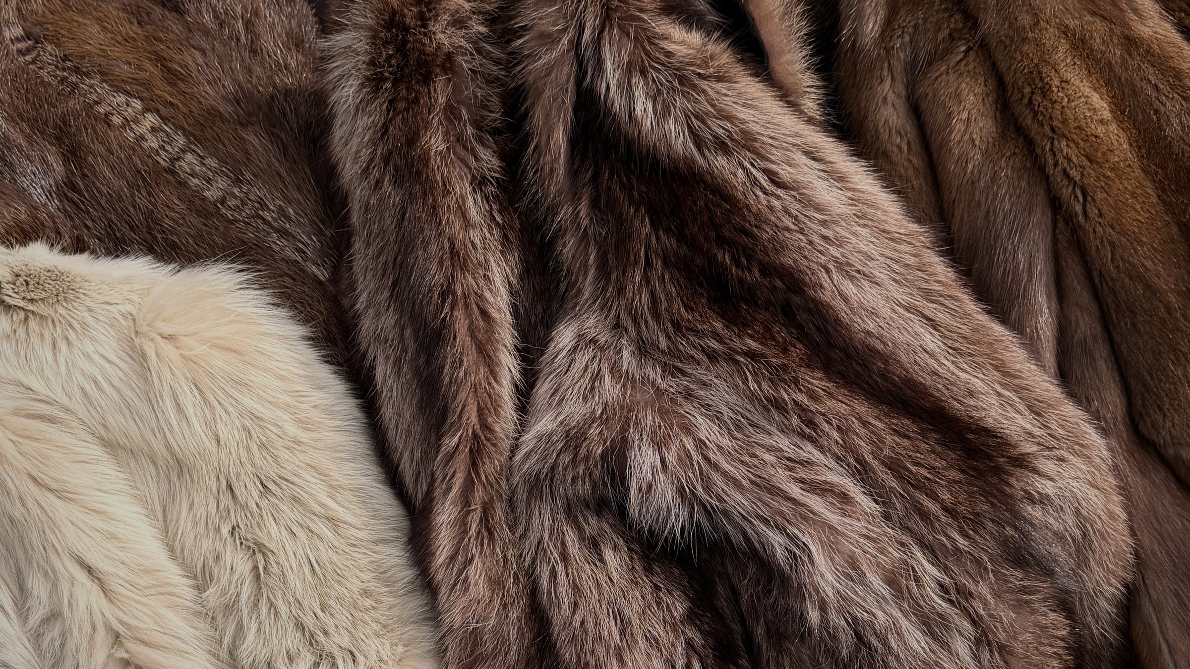 Vintage fur coats in cream, brown and chestnut